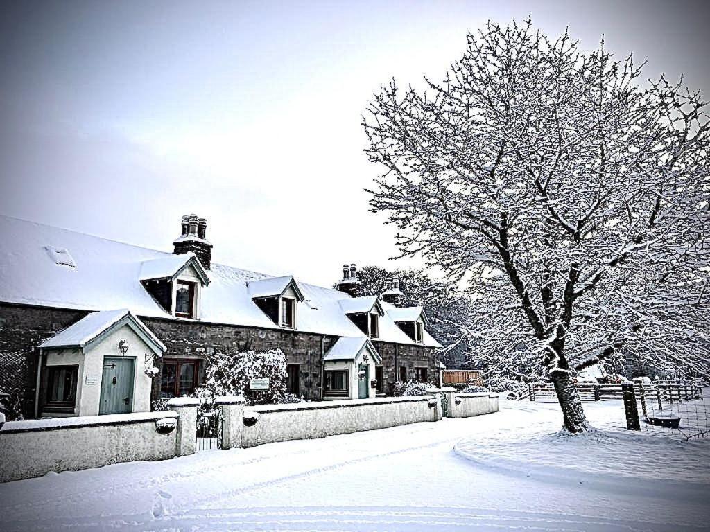 Rosemount Bothy - Highland Cottage Garve Extérieur photo